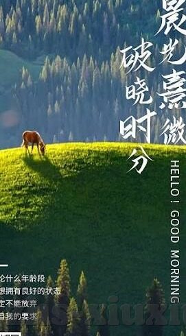 大象传媒涉黄-媒体伦理的警钟，大象传媒涉黄事件之反思