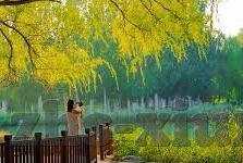 在线观看日韩av影院-探索日韩影视文化的多元魅力,在线观影的现代视角